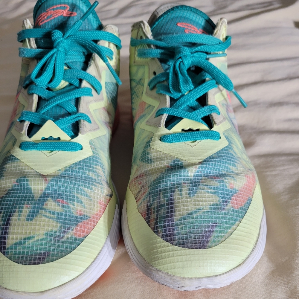 LeBronald Palmer
